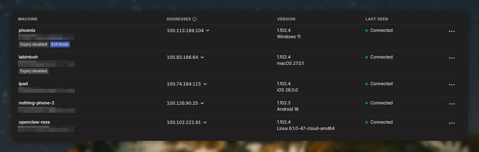 Tailscale admin dashboard showing all devices on the home network